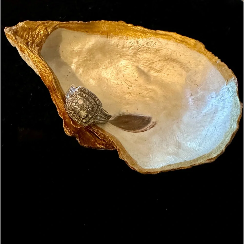 Oyster Shell Trimmed In Gold - Picture 1 of 1